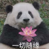 微信终于坐不住了!内测查删单向好友功能,紧急布局AI搜索板块!